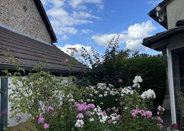 Neu! Sanja Peickwitz